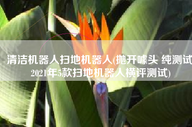清洁机器人扫地机器人(抛开噱头 纯测试 2021年5款扫地机器人横评测试)
