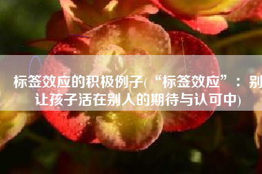 标签效应的积极例子(“标签效应”：别让孩子活在别人的期待与认可中)