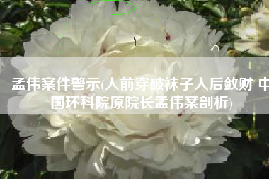 孟伟案件警示(人前穿破袜子人后敛财 中国环科院原院长孟伟案剖析)