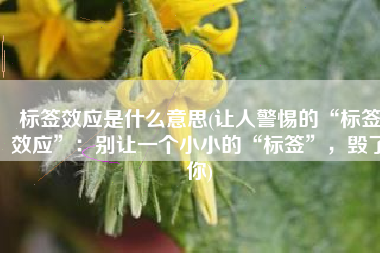 标签效应是什么意思(让人警惕的“标签效应”：别让一个小小的“标签”，毁了你)