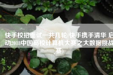 快手校招面试一共几轮(快手携手清华 启动2018中国高校计算机大赛之大数据挑战赛)