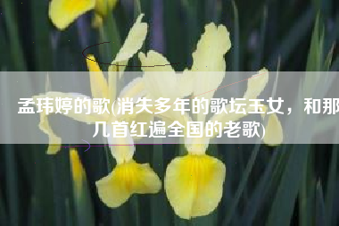 孟玮婷的歌(消失多年的歌坛玉女，和那几首红遍全国的老歌)