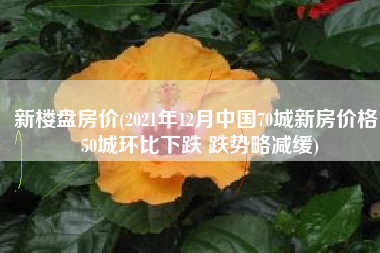 新楼盘房价(2021年12月中国70城新房价格：50城环比下跌 跌势略减缓)