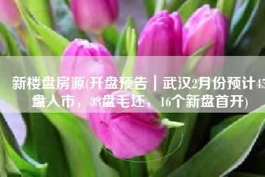 新楼盘房源(开盘预告｜武汉2月份预计45盘入市，33盘毛坯，16个新盘首开)