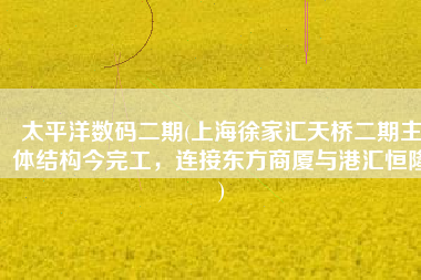 太平洋数码二期(上海徐家汇天桥二期主体结构今完工，连接东方商厦与港汇恒隆)