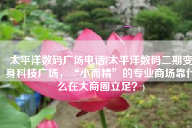 太平洋数码广场电话(太平洋数码二期变身科技广场，“小而精”的专业商场靠什么在大商圈立足？)