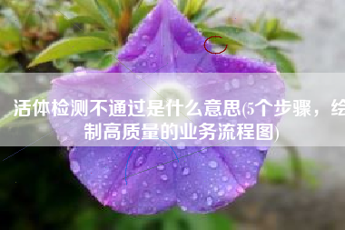 活体检测不通过是什么意思(5个步骤，绘制高质量的业务流程图)