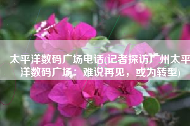 太平洋数码广场电话(记者探访广州太平洋数码广场：难说再见，或为转型)