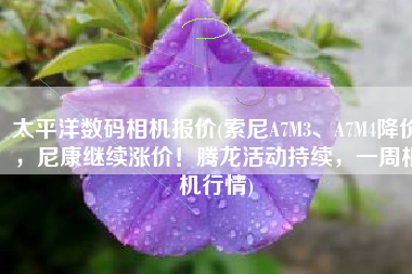 太平洋数码相机报价(索尼A7M3、A7M4降价，尼康继续涨价！腾龙活动持续，一周相机行情)