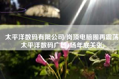 太平洋数码有限公司(岗顶电脑圈再震荡 太平洋数码广场A场年底关张)