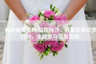 梅沙是毒品吗(盐田梅沙：开展禁毒攻坚行动，全民参与禁毒宣传)