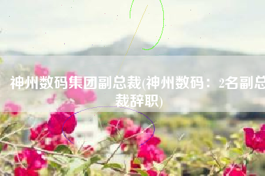 神州数码集团副总裁(神州数码：2名副总裁辞职)