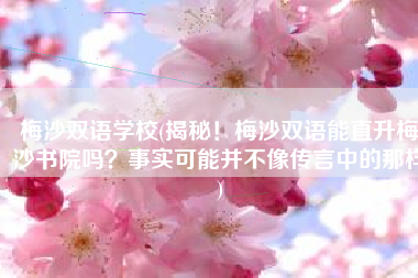 梅沙双语学校(揭秘！梅沙双语能直升梅沙书院吗？事实可能并不像传言中的那样)