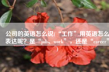 公司的英语怎么说(“工作”用英语怎么表达呢？是“job、work”，还是“career”)