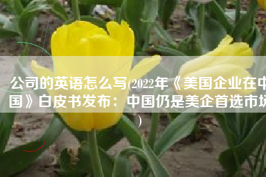 公司的英语怎么写(2022年《美国企业在中国》白皮书发布：中国仍是美企首选市场)