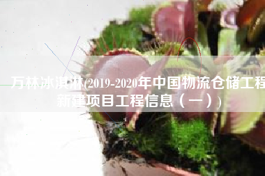 万林冰淇淋(2019-2020年中国物流仓储工程新建项目工程信息（一）)