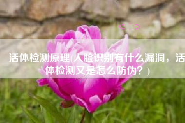 活体检测原理(人脸识别有什么漏洞，活体检测又是怎么防伪？)