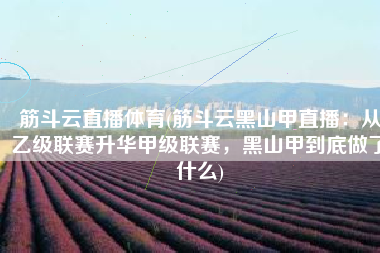 筋斗云直播体育(筋斗云黑山甲直播：从乙级联赛升华甲级联赛，黑山甲到底做了什么)