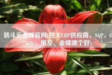 筋斗云金蝶官网(四大ERP供应商，SAP、Oracle、用友、金蝶哪个好)