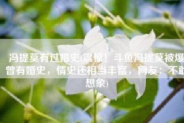 冯提莫有过婚史(震惊！斗鱼冯提莫被爆曾有婚史，情史还相当丰富，网友：不敢想象)