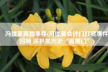 冯提莫离婚事件(冯提莫会计门打赏事件回顾 深扒黑历史“离婚门”)