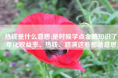 热钱是什么意思(是时候学点金融知识了，年化收益率、热钱、路演这些都啥意思)