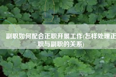 副职如何配合正职开展工作(怎样处理正职与副职的关系)