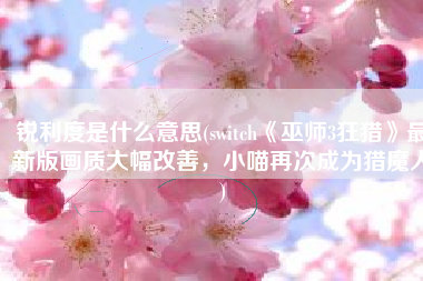 锐利度是什么意思(switch《巫师3狂猎》最新版画质大幅改善，小喵再次成为猎魔人)