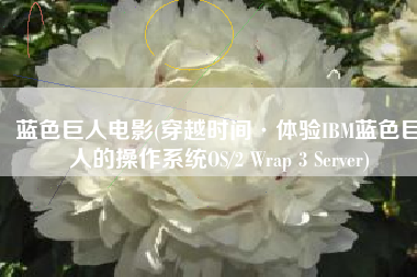 蓝色巨人电影(穿越时间·体验IBM蓝色巨人的操作系统OS/2 Wrap 3 Server)