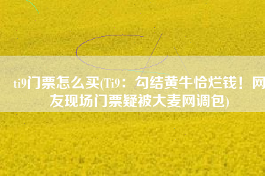 ti9门票怎么买(Ti9：勾结黄牛恰烂钱！网友现场门票疑被大麦网调包)