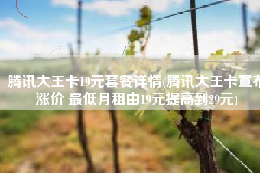腾讯大王卡19元套餐详情(腾讯大王卡宣布涨价 最低月租由19元提高到29元)
