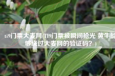 ti9门票大麦网(TI9门票被瞬间抢光 黄牛能够绕过大麦网的验证码？)