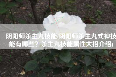阴阳师杀生丸技能(阴阳师杀生丸式神技能有哪些？杀生丸技能属性大招介绍)