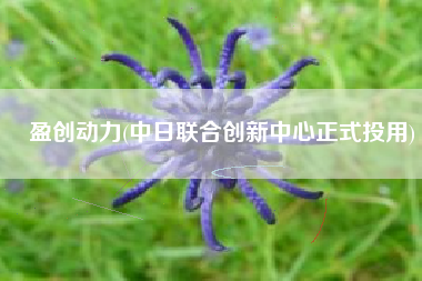 盈创动力(中日联合创新中心正式投用)