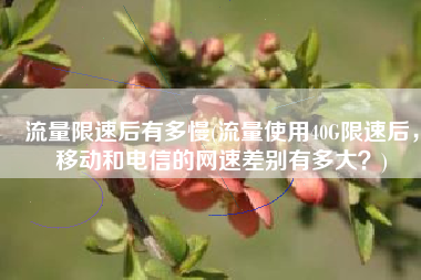 流量限速后有多慢(流量使用40G限速后，移动和电信的网速差别有多大？)