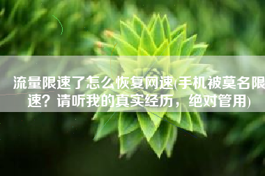 流量限速了怎么恢复网速(手机被莫名限速？请听我的真实经历，绝对管用)