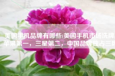 美国手机品牌有哪些(美国手机市场洗牌：苹果第一，三星第二，中国品牌独占三席)