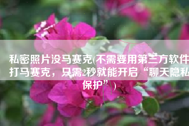 私密照片没马赛克(不需要用第三方软件打马赛克，只需2秒就能开启“聊天隐私保护”)