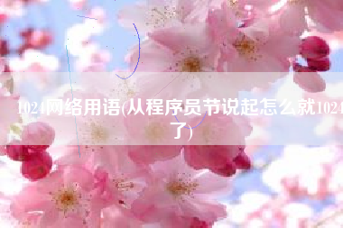1024网络用语(从程序员节说起怎么就1024了)