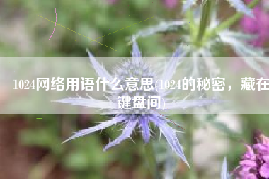 1024网络用语什么意思(1024的秘密，藏在键盘间)