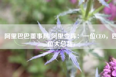阿里巴巴董事局(阿里变阵：一位CEO，四位大总裁)
