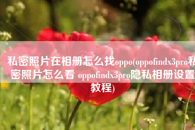 私密照片在相册怎么找oppo(oppofindx3pro私密照片怎么看 oppofindx3pro隐私相册设置教程)