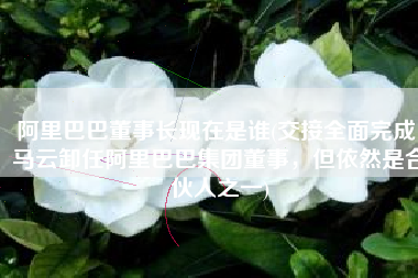 阿里巴巴董事长现在是谁(交接全面完成！马云卸任阿里巴巴集团董事，但依然是合伙人之一)