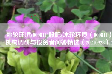 冰轮环境(000811)股吧(冰轮环境（000811）机构调研与投资者问答精选（20210928）)