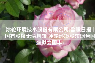 冰轮环境技术股份有限公司(鲁股日报｜国有股权无偿划转 冰轮环境股东烟台国盛拟变国丰)