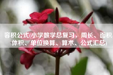 容积公式(小学数学总复习，周长、面积、体积、单位换算、算术、公式汇总)