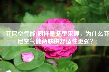 芬尼空气能(同样是冬季采暖，为什么芬尼空气能两联供舒适性更强？)