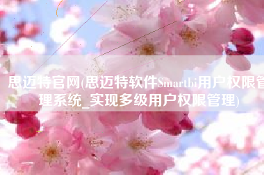 思迈特官网(思迈特软件Smartbi用户权限管理系统_实现多级用户权限管理)