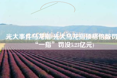光大事件乌龙指(光大乌龙指顶格倍数罚“一指”罚没5.23亿元)