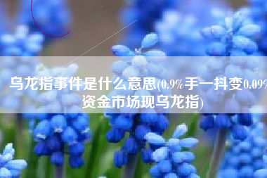 乌龙指事件是什么意思(0.9%手一抖变0.09% 资金市场现乌龙指)